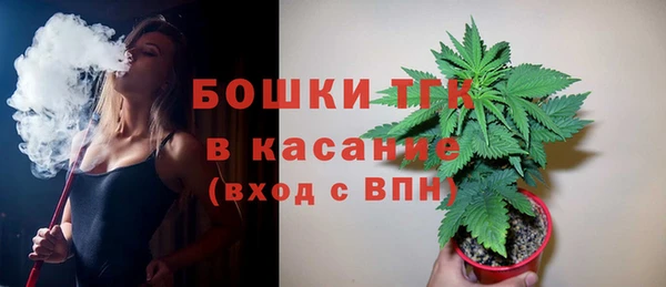 СК Ельня