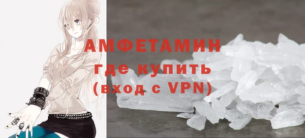 СК Ельня