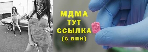 СК Ельня