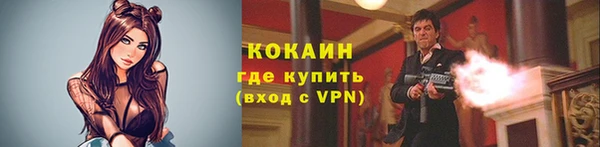 СК Ельня
