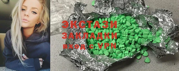 СК Ельня