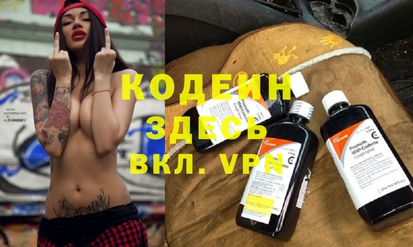 СК Ельня