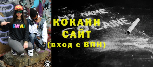СК Ельня