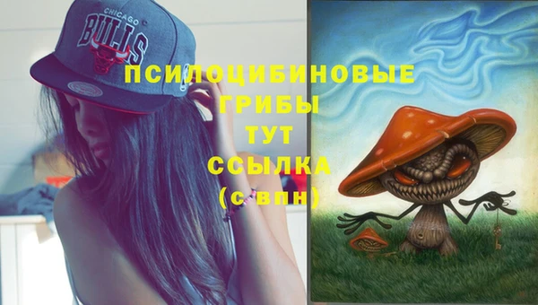 MDMA Premium VHQ Елабуга