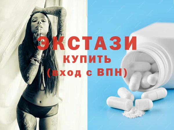 СК Ельня