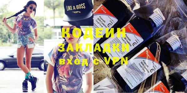 СК Ельня