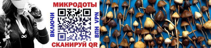 Галлюциногенные грибы Magic Shrooms  Купить  Сердобск 